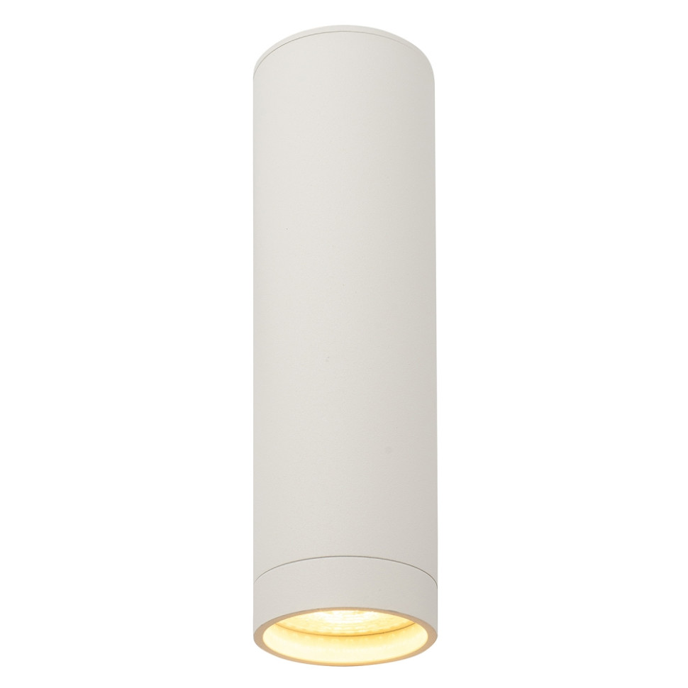 Накладной точечный светильник Denkirs DK2052-WH, цвет белый - фото 1
