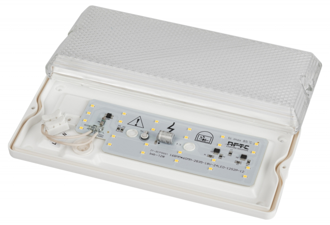 Антивандальный светильник Эра ДБО -001 12Вт 4000K 1000Лм IP54 240х110х35 (619895)