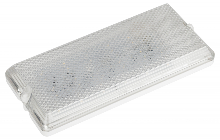 Антивандальный светильник Эра ДБО -001 12Вт 4000K 1000Лм IP54 240х110х35 (619895)