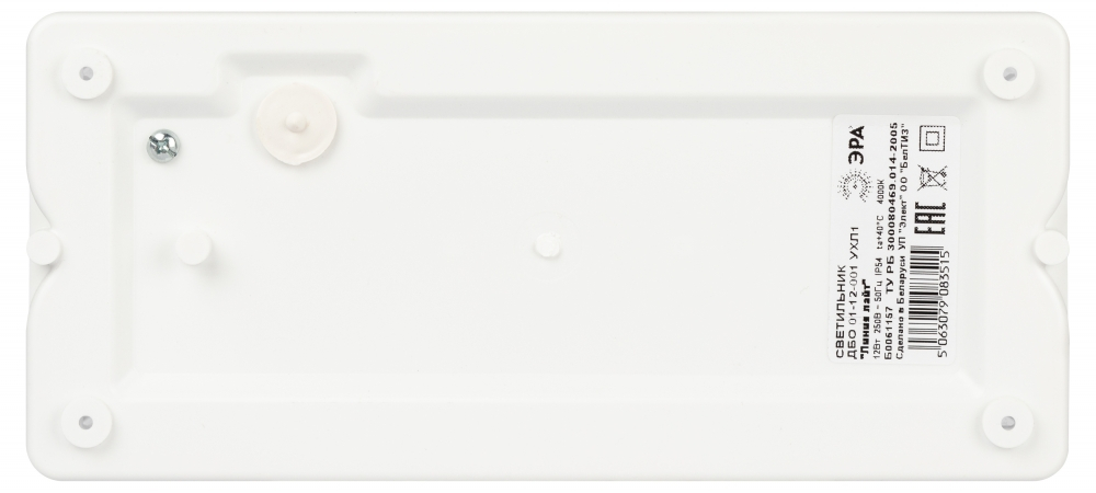 Антивандальный светильник Эра ДБО -001 12Вт 4000K 1000Лм IP54 240х110х35 (619895)