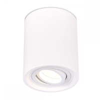 Потолочный светильник ST Luce ST156.502.01