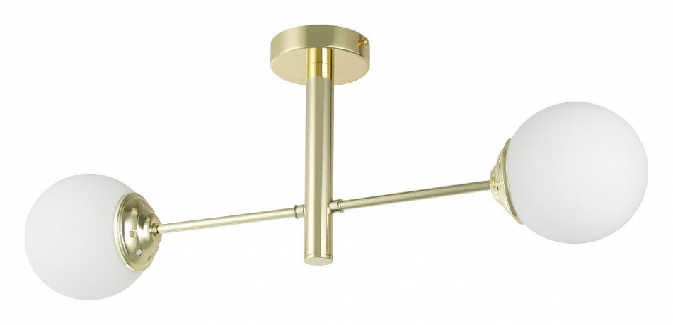 Светильник на штанге Lampit FINO TP 2007-2 GD 