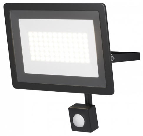 Настенно-потолочный прожектор Maytoni Outdoor Flood FL001-L50B4KSR 