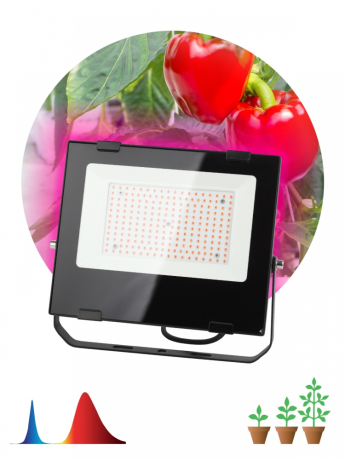 Нарушена упаковка! <228600> Прожектор светодиодный ЭРА PRO 100W 1200K Fito-100W-RB-Led Б0046369