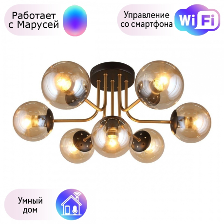 Люстра с поддержкой Маруси потолочная APLOYT APL.906.07.07-M 
