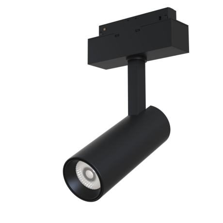 Светильник на штанге Maytoni Technical Focus LED TR019-2-10W3K-B 
