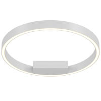 Потолочный светильник Maytoni MOD058CL-L25WK Rim