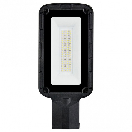 Консольный светильник Feron Saffit SSL10-100 55234 