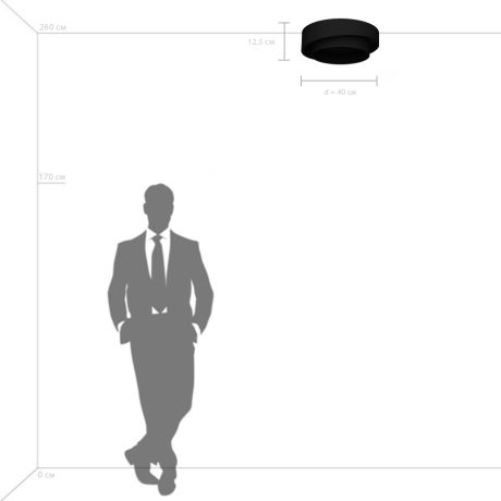 Накладной светильник Lightstar Celesta 809416 