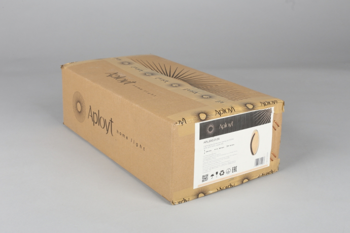 Светильник настенный Aployt Tommaso APL.650.01.05 