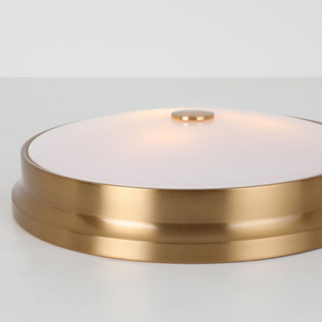 Потолочный светильник с лампочками светодиодными, комплект от Lustrof. №176639-617840 