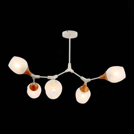 Люстра на штанге EVOLUCE Ciotolla SLE113502-05 