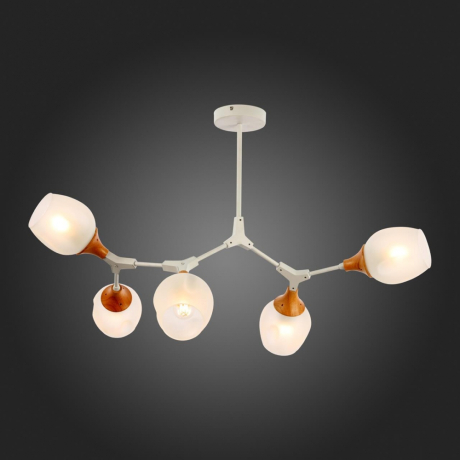 Люстра на штанге EVOLUCE Ciotolla SLE113502-05 