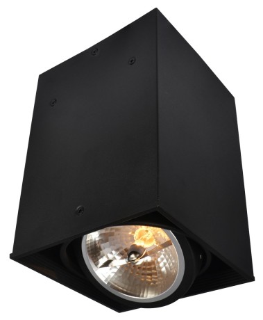 A5936PL-1BK Накладной поворотный точечный светильник Arte Lamp Cardani 