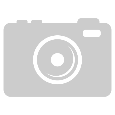 Настенный светильник Odeon Light Kliff L-Vision 5426/13WL 