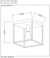 00124/01/30 Потолочный светильник Lucide Ruben