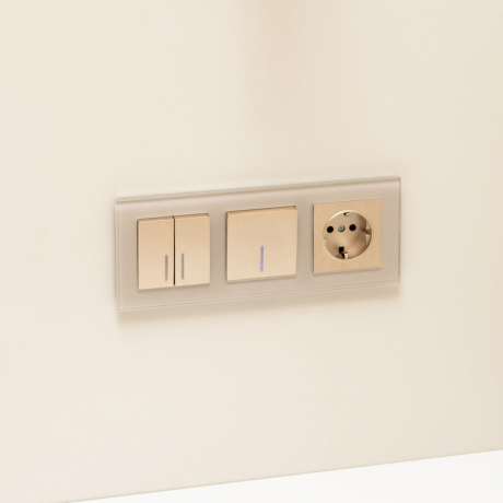 Выключатель одноклавишный с подсветкой без рамки Werkel шампань рифленый W1110110