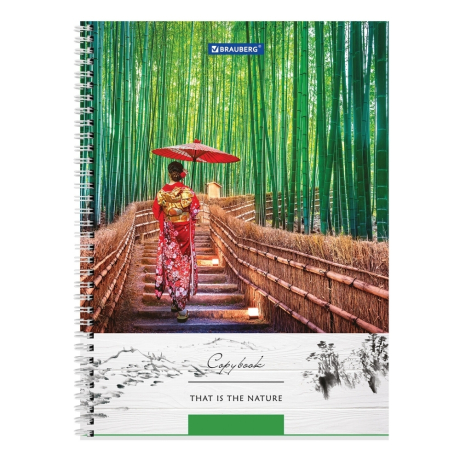 Нарушена упаковка!  <319647> Тетрадь А4, 80 л., BRAUBERG, гребень, клетка, обложка твердая, "Nature", 404054 (404054)