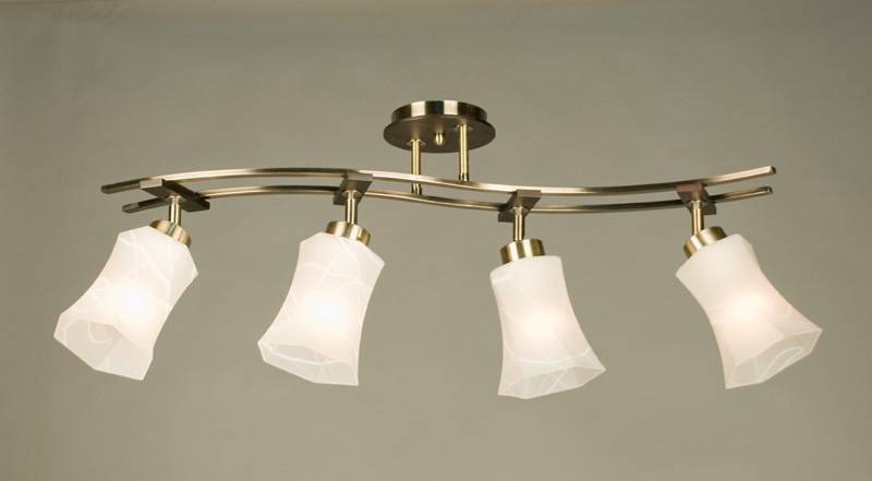 Спот Citilux Мерида CL142143 