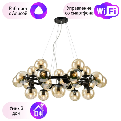 Подвесная люстра Arte Lamp с поддержкой Алиса A1664SP-25BK-A 