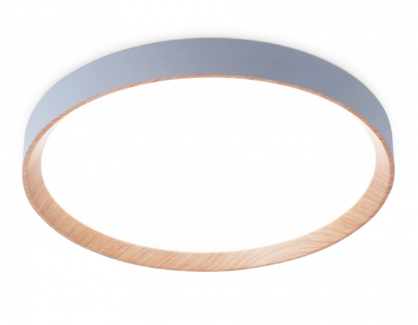 Накладной светильник Ambrella Light FZ FZ1322 