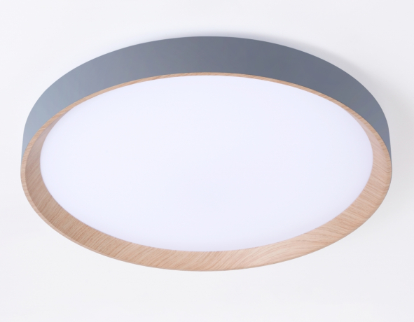 Накладной светильник Ambrella Light FZ FZ1322 