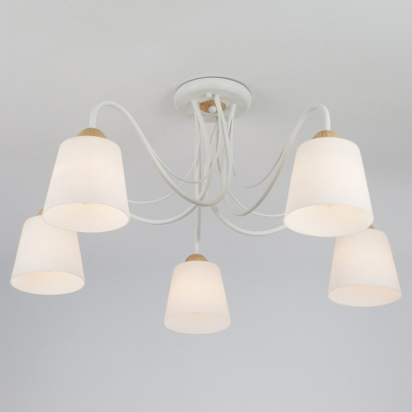 Потолочная люстра Eurosvet Betty 70062/5 белый 