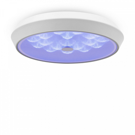 Потолочный светодиодный светильник с пультом ДУ Freya Cells FR10012CL-L24W 