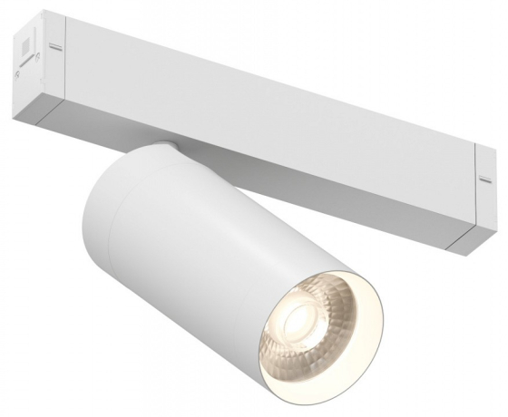 Светильник на штанге Denkirs Smart DK8020-WH 