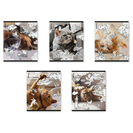 Нарушена упаковка!  <797131> Тетрадь обложка пластик, А5, 48 л., скоба, клетка, ErichKrause, "Dream Cat" (микс в спайке), 54161 (405266)