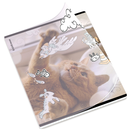 Нарушена упаковка!  <797131> Тетрадь обложка пластик, А5, 48 л., скоба, клетка, ErichKrause, "Dream Cat" (микс в спайке), 54161 (405266)