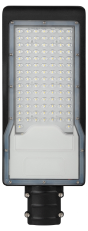 Уличный консольный светильник Эра -0-50K-100 (401828)