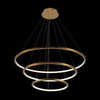 Подвесной светодиодный светильник Loft IT Ring 10015/3