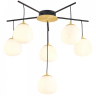 Потолочная люстра Favourite Paramount 3047-6P 