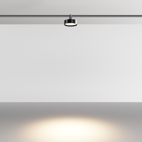 Светильник на штанге Maytoni Technical Zon TR204-1-12W3K-B