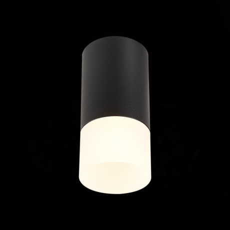 Светильник точечный с Led лампочками в комплекте ST Luce ST100.412.01+Lamps 