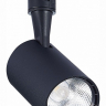 Светильник на штанге ST-Luce Cami ST351.446.10.36