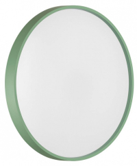 Накладной светильник Sonex COLOR 7743/ELN