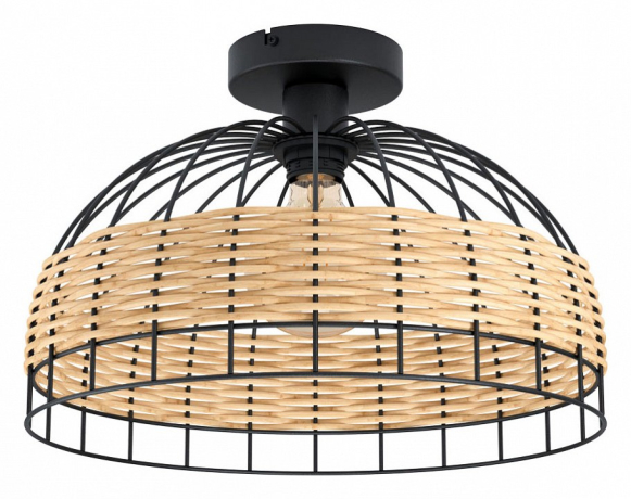 Накладной светильник Eglo Anwick 43398 