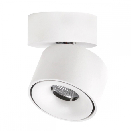 Накладной поворотный светодиодный светильник Citilux Стамп CL558010N 