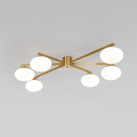 Потолочный светильник со стеклянными плафонами Eurosvet Opaline 70220/6 (a065766) 