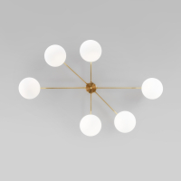 Потолочный светильник со стеклянными плафонами Eurosvet Opaline 70220/6 (a065766)