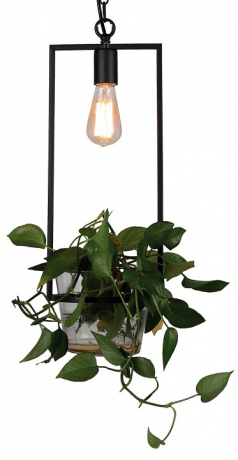 Подвесной светильник Favourite Situla 1975-1P 