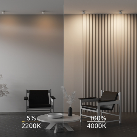 Встраиваемый светильник Technical DL024-12W-DTW-W 