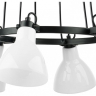 Подвесная люстра Lightstar Acrobata 761160 