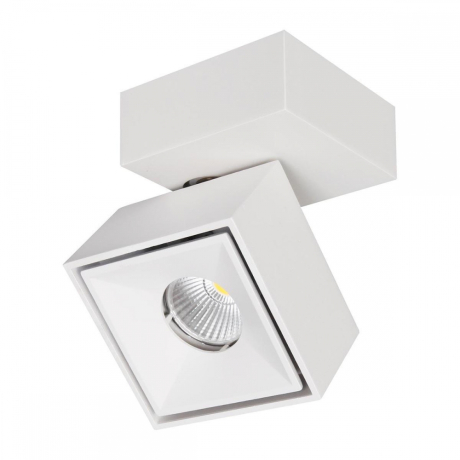 Накладной поворотный светодиодный светильник Citilux Стамп CL558020N 