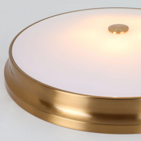 Потолочный светильник с лампочками светодиодными, комплект от Lustrof. №176640-617849 