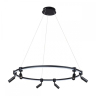 Подвесная люстра Arte Lamp Ring A2186SP-1BK 