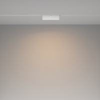 Светильник на штанге Maytoni Technical Basis Rot TR036-4-12WTW-DD-W