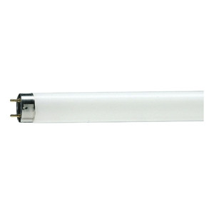 Люминесцентная лампа G13 18W 6200K (холодный) T8 SLV Philips (C0019862) - фото 1